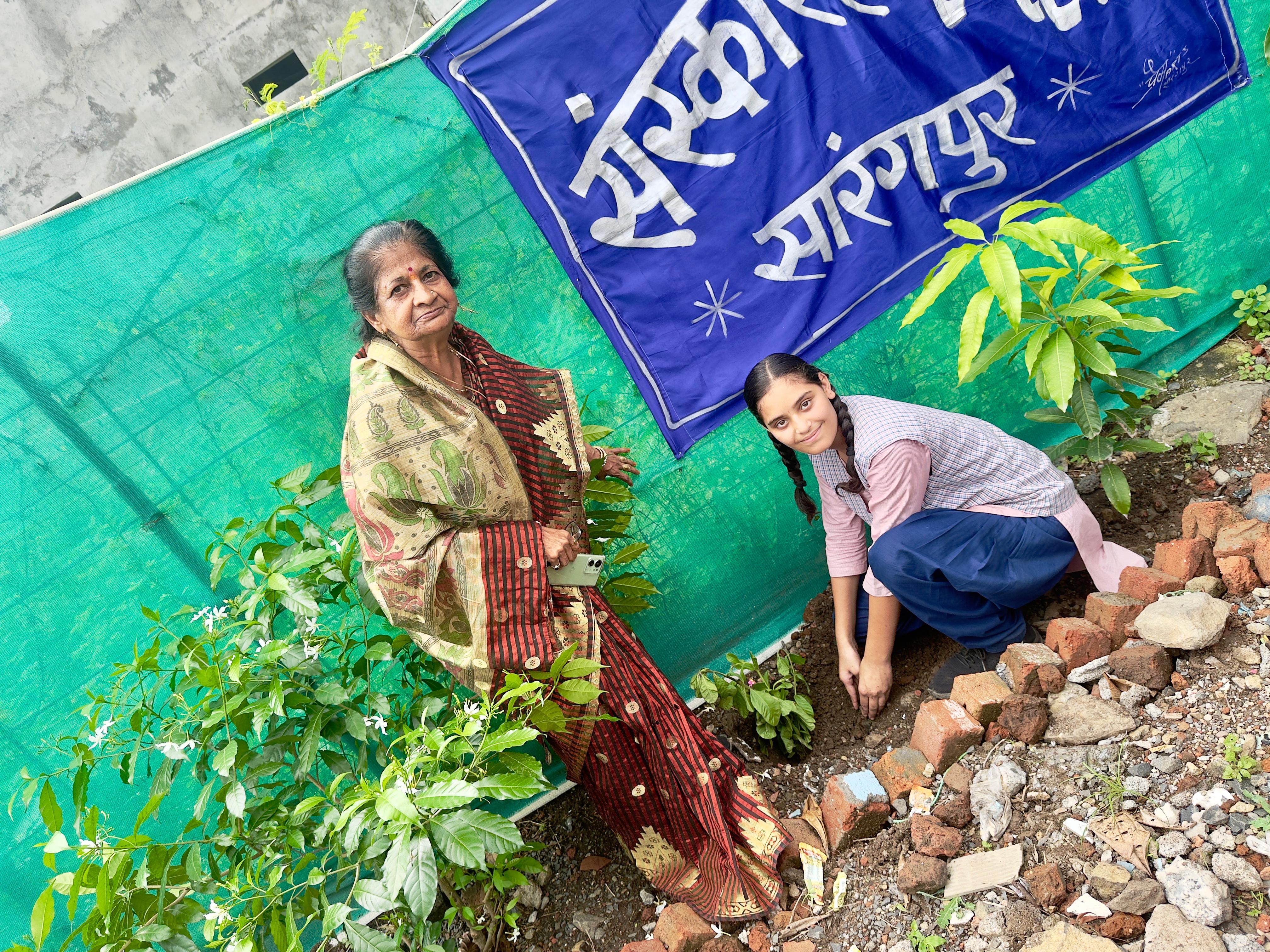 Tree Plantation Photo