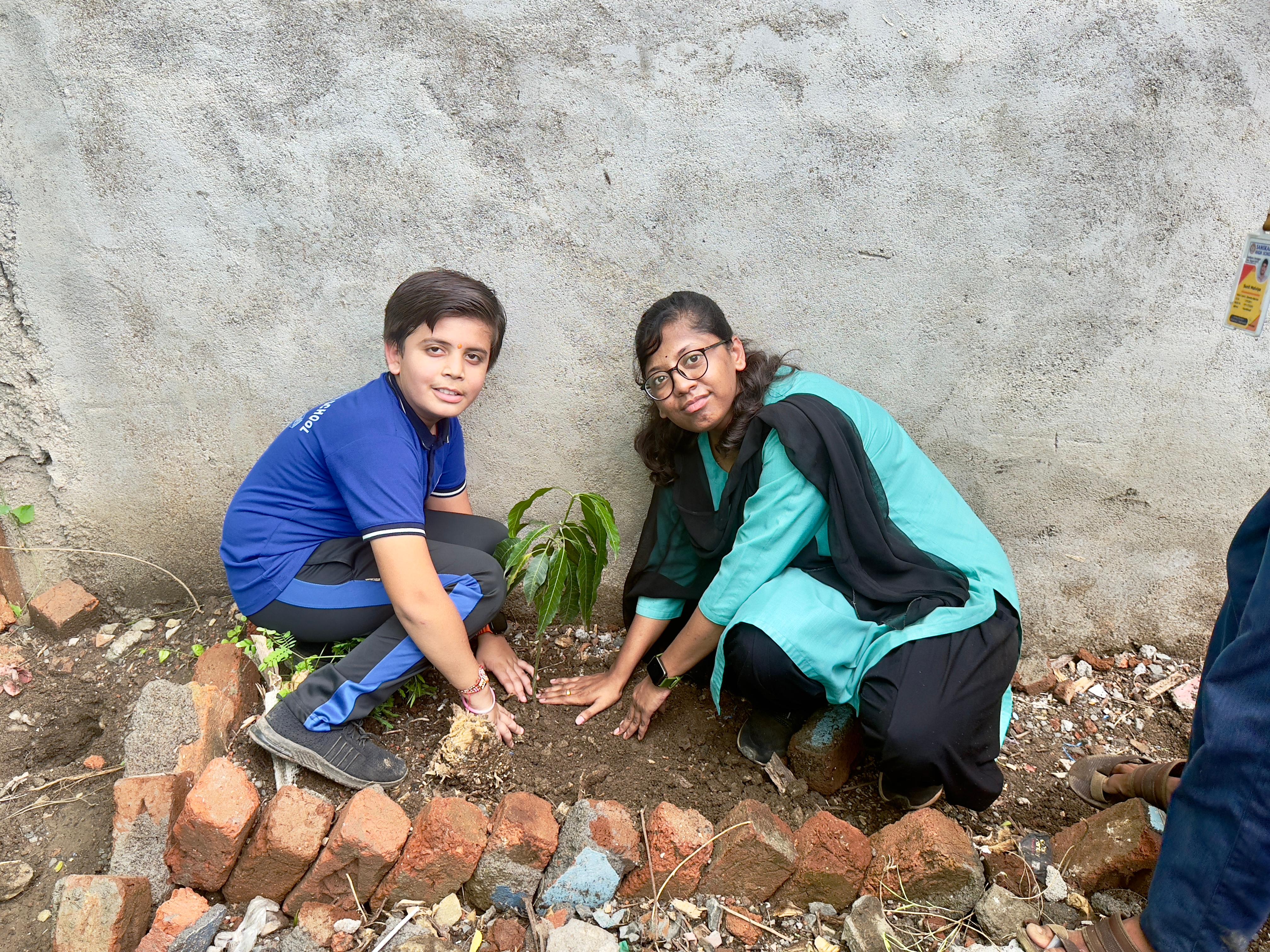 Tree Plantation Photo