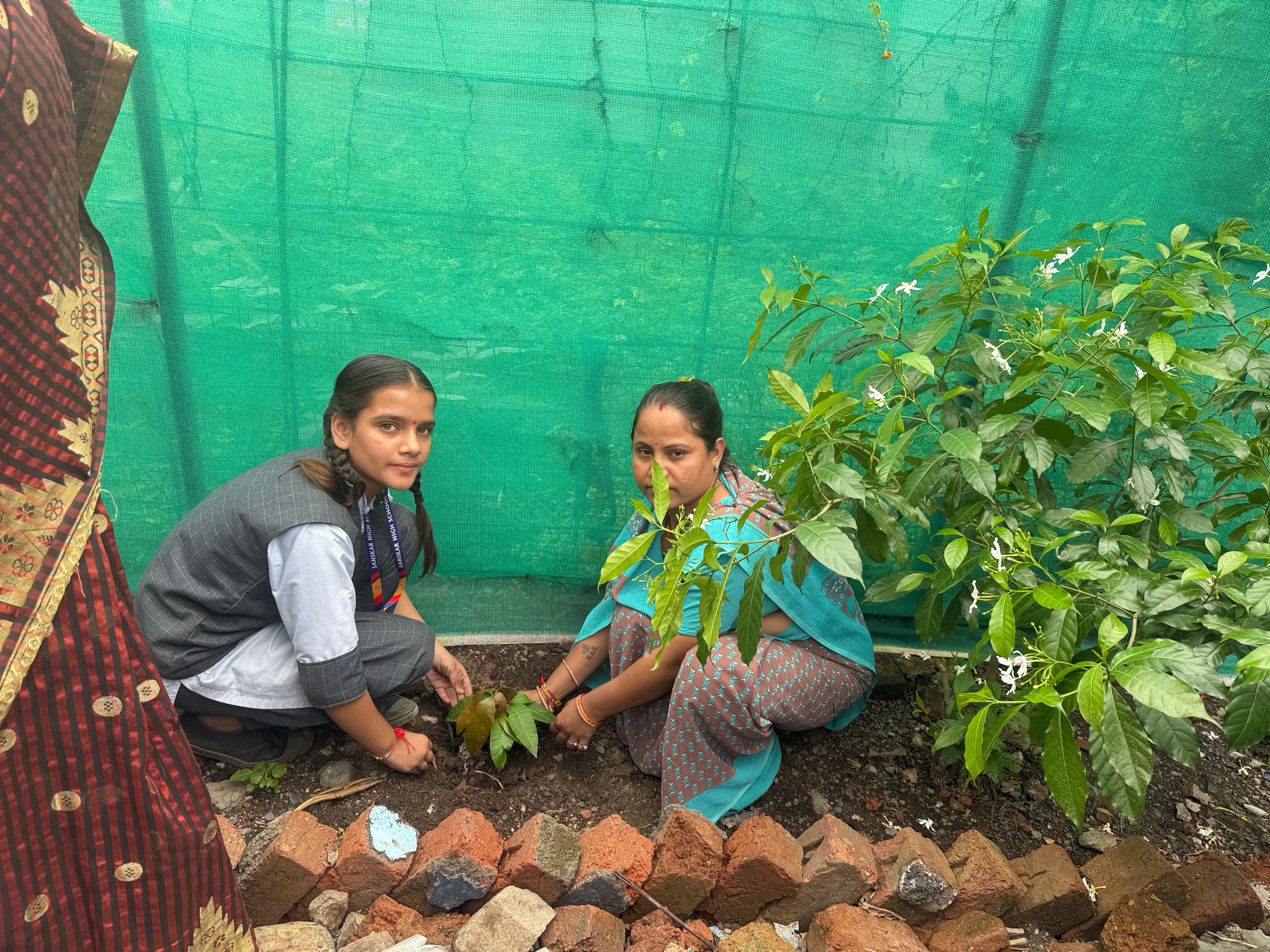 Tree Plantation Photo